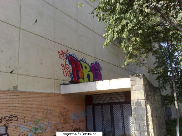 poze graffuri rooftop